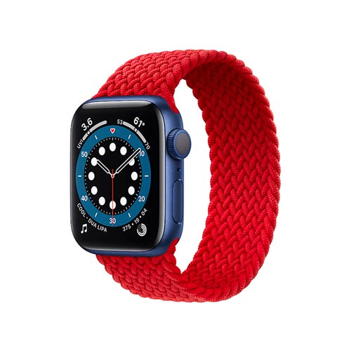 Apple Watch Edition Series 6