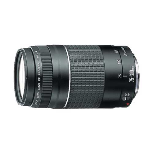 Canon EF 75-300mm f/4-5.6 III Price in Bangladesh 2022 ...