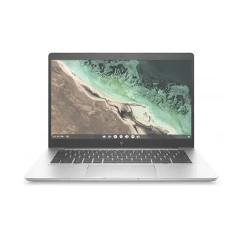 Hp Elite C645 G2 Chromebook (AMD)