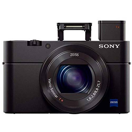 Sony RX100 