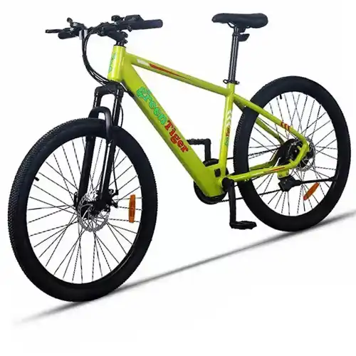Green Tiger GT-Ebicycle 110