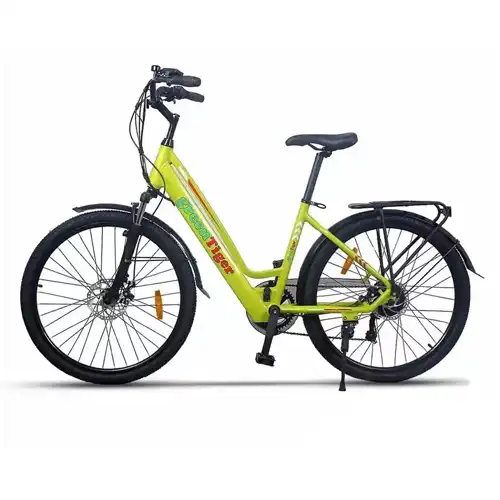 Green Tiger GT-Ebicycle City Pass