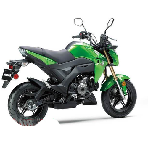 Kawasaki Z125 PRO