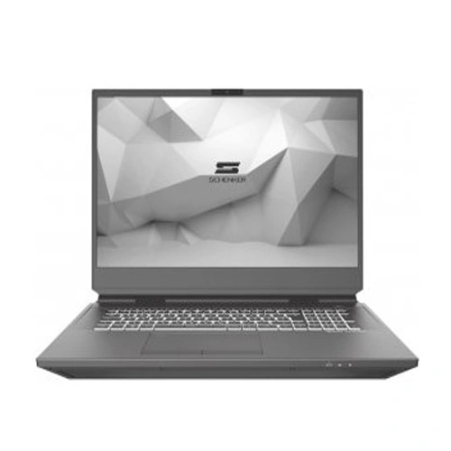 Schenker DTR 17 Core i5 11th Gen