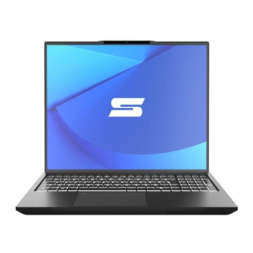 Schenker Vision 14 Core i5 11th Gen 8GB RAM